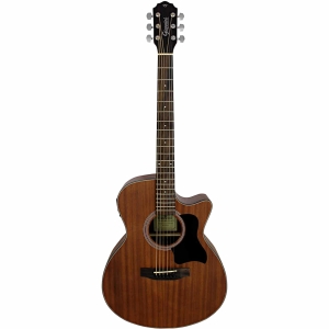 VIOLAO ACO ELETROACUSTICO PERFORMANCE PLUS GGC PLUS CEQ WS - 1